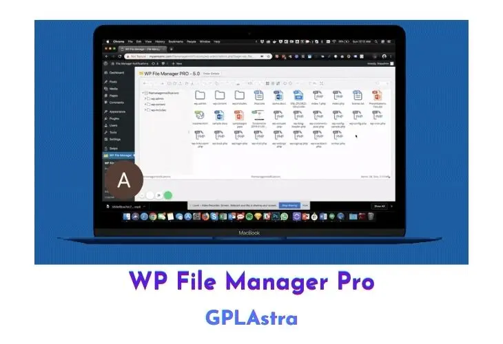 WP File Manager Pro