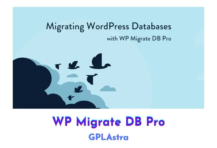 WP Migrate DB Pro