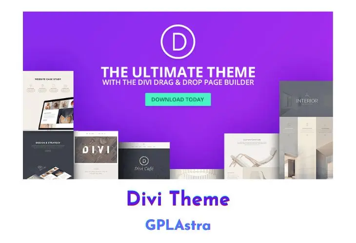 Divi Theme