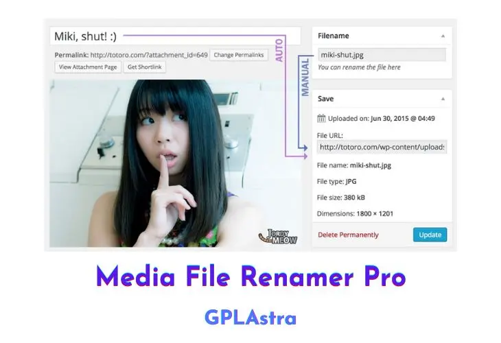 Media File Renamer Pro