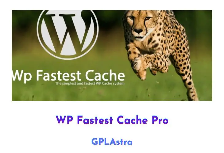 WP Fastest Cache Pro