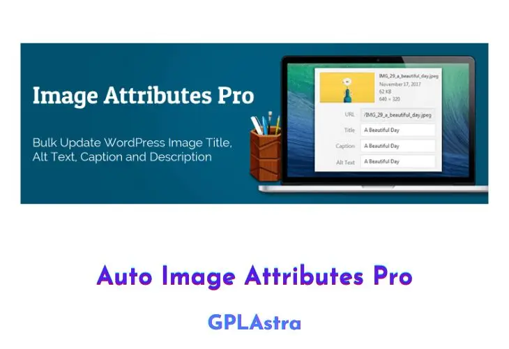 Auto Image Attributes Pro