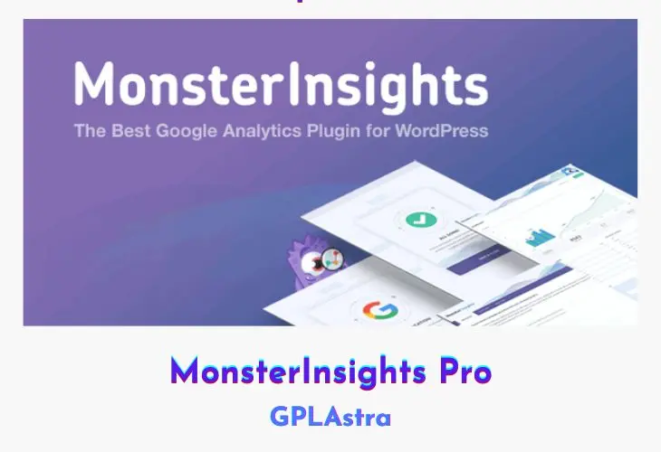 MonsterInsights Pro