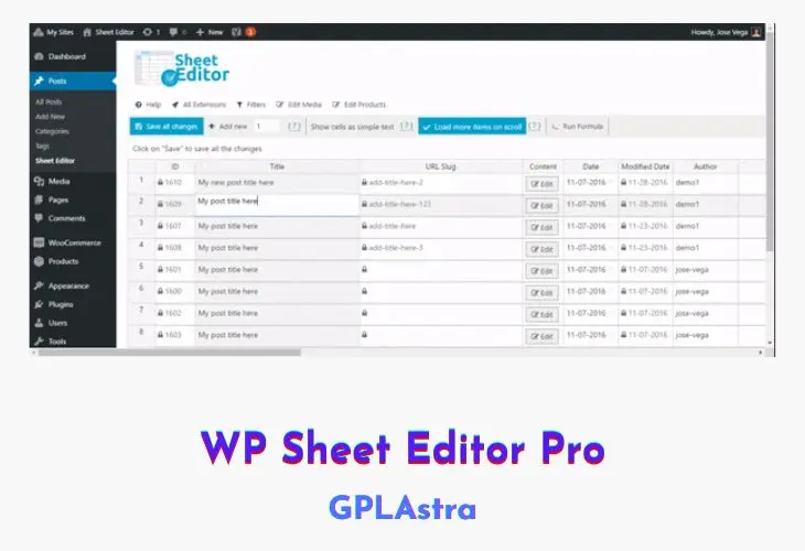 WP Sheet Editor Pro