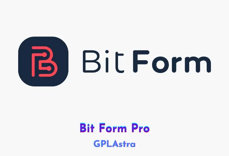 Bit Form Pro