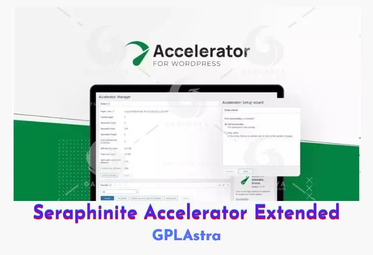 Seraphinite Accelerator Extended